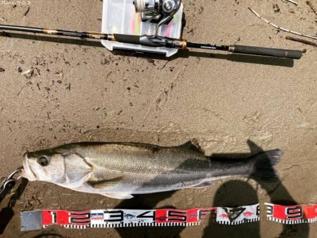 �����Х�