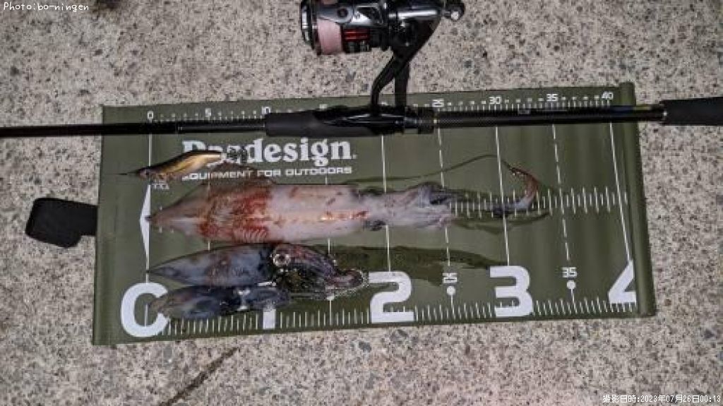 ���󥵥�����