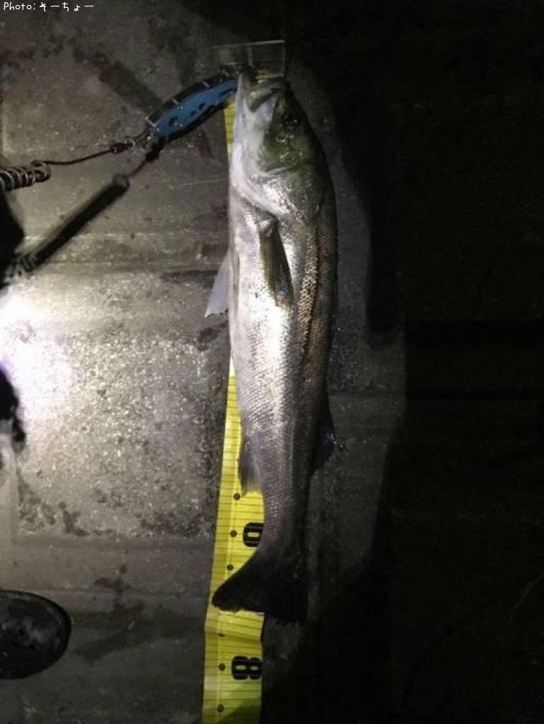 �����Х�