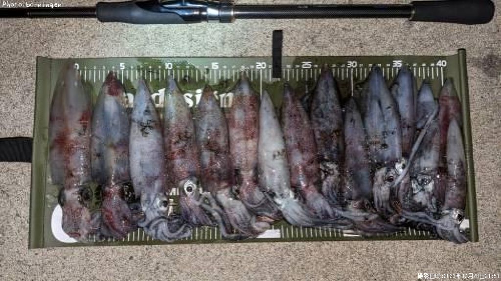 ���󥵥�����