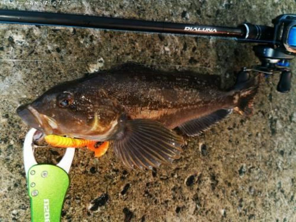 �����ʥ�