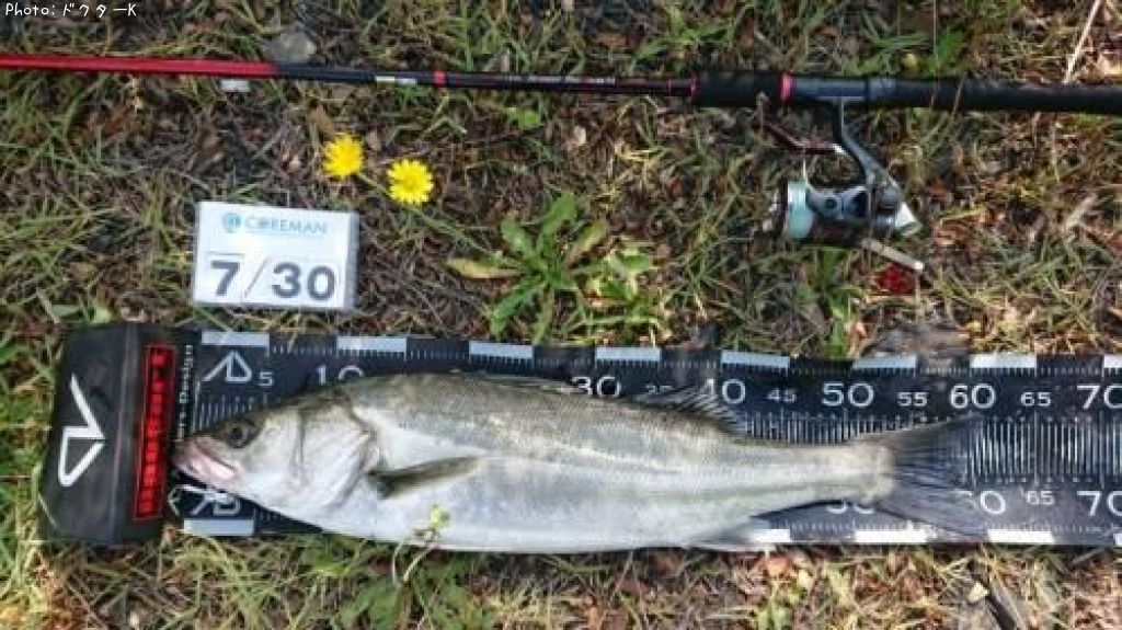 �����Х�