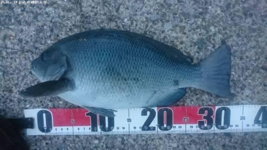 �����᥸��