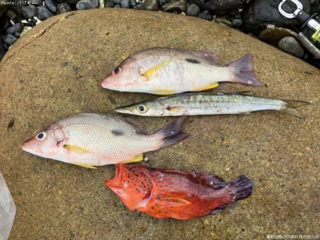 �����ۥ��ե�����