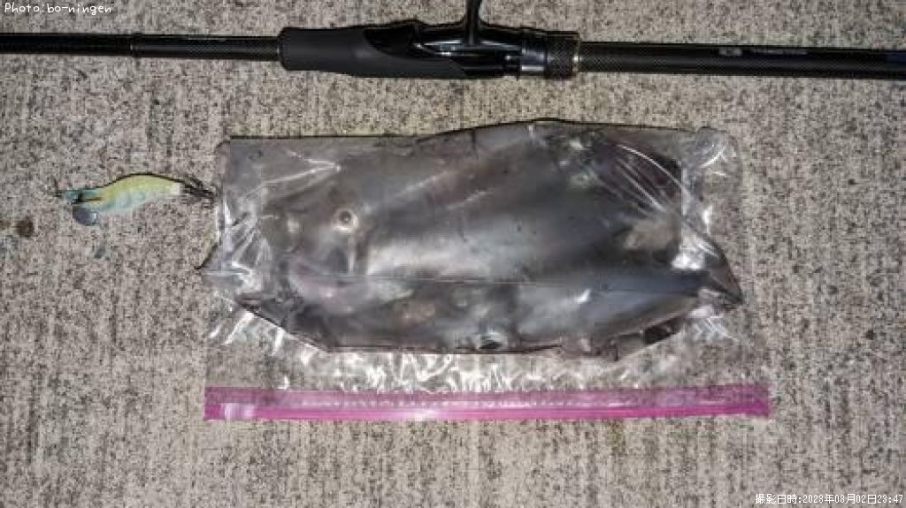 ���󥵥�����