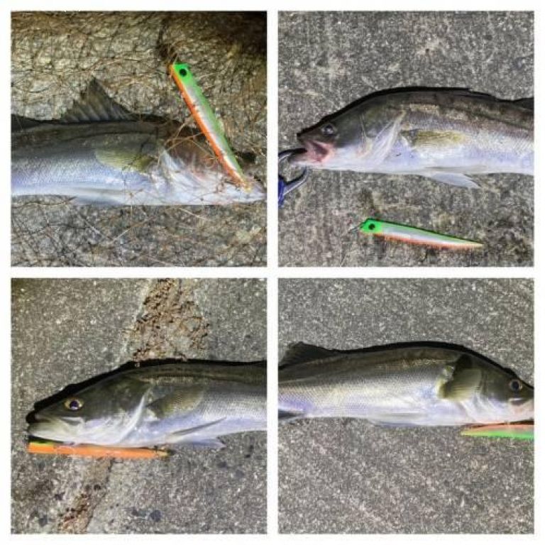 �����Х�