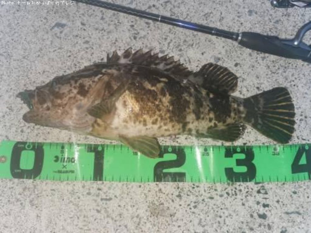 �����Υ���Х�