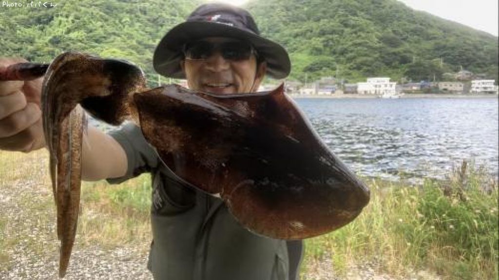 �����ꥤ��