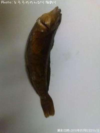 �����ʥ�