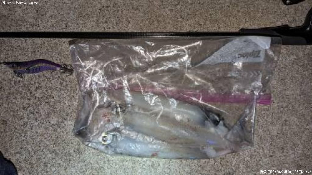 ���󥵥�����