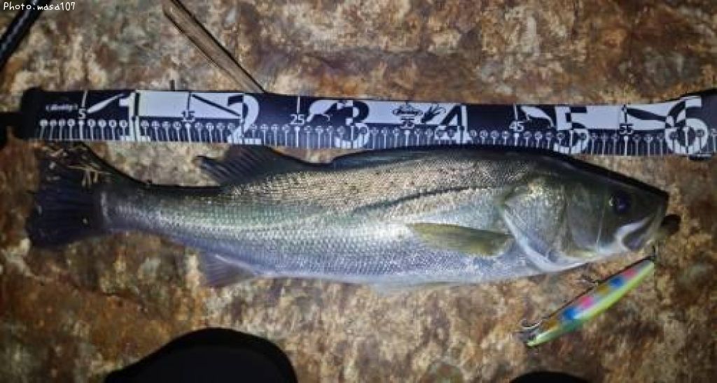 �����Х�