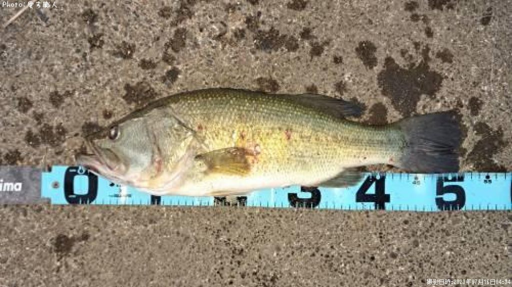 �֥�å��Х�