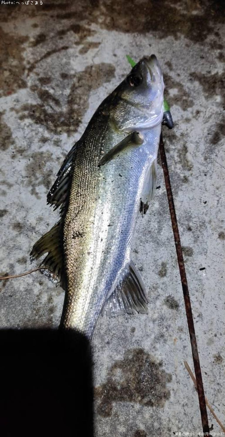 �����Х�