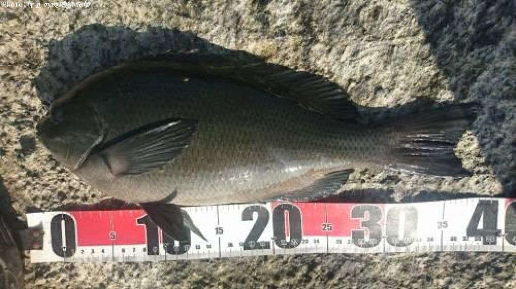 �����᥸��