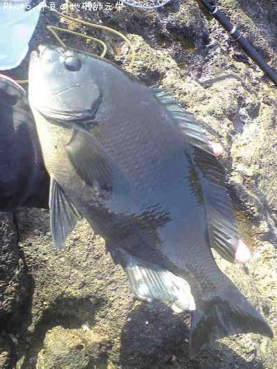 �����᥸��