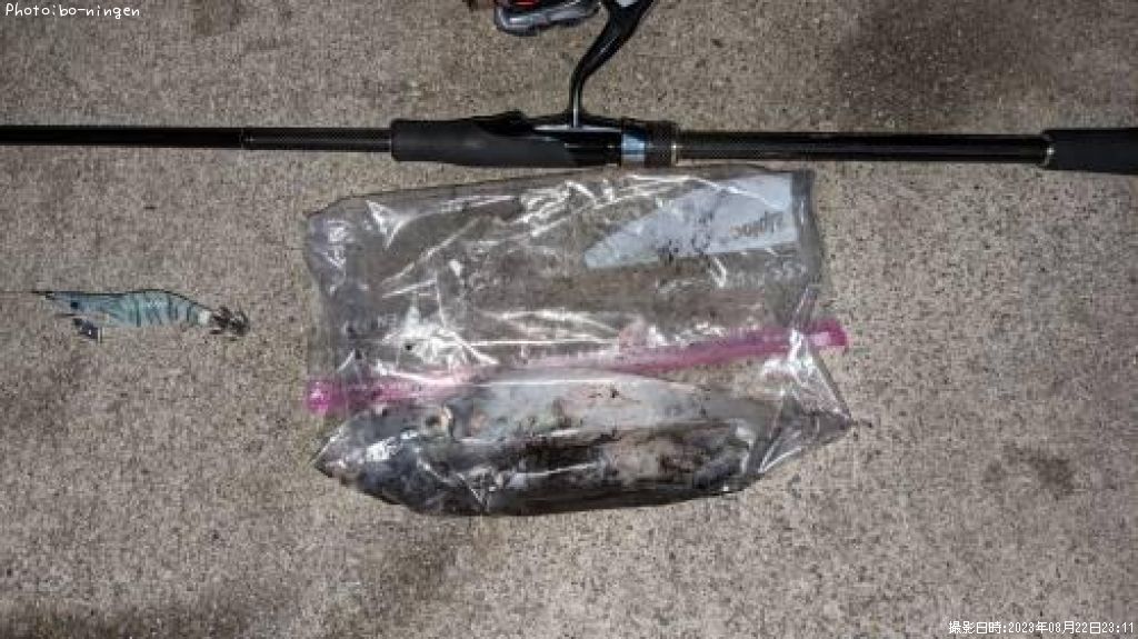 ���󥵥�����