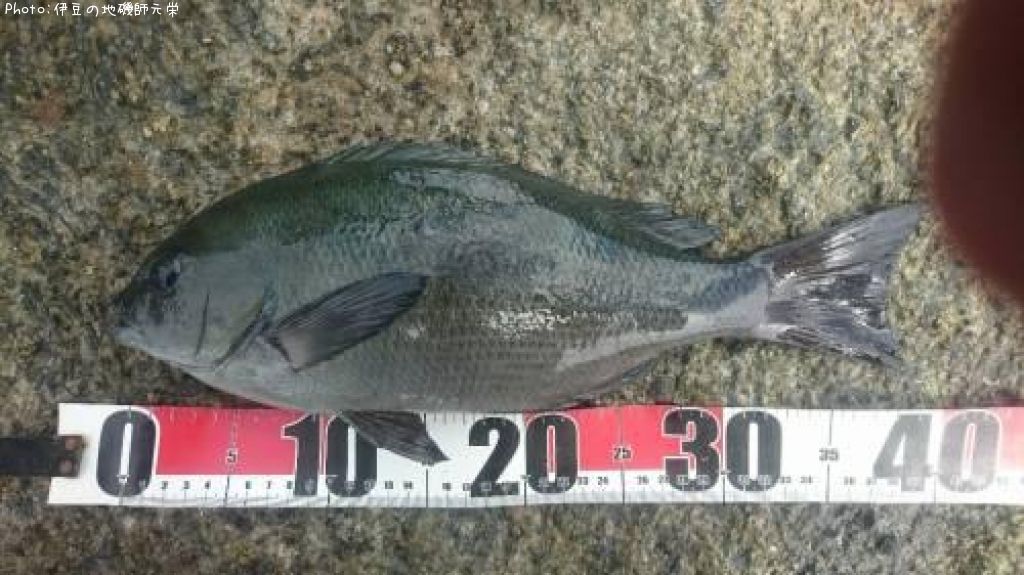 �����᥸��