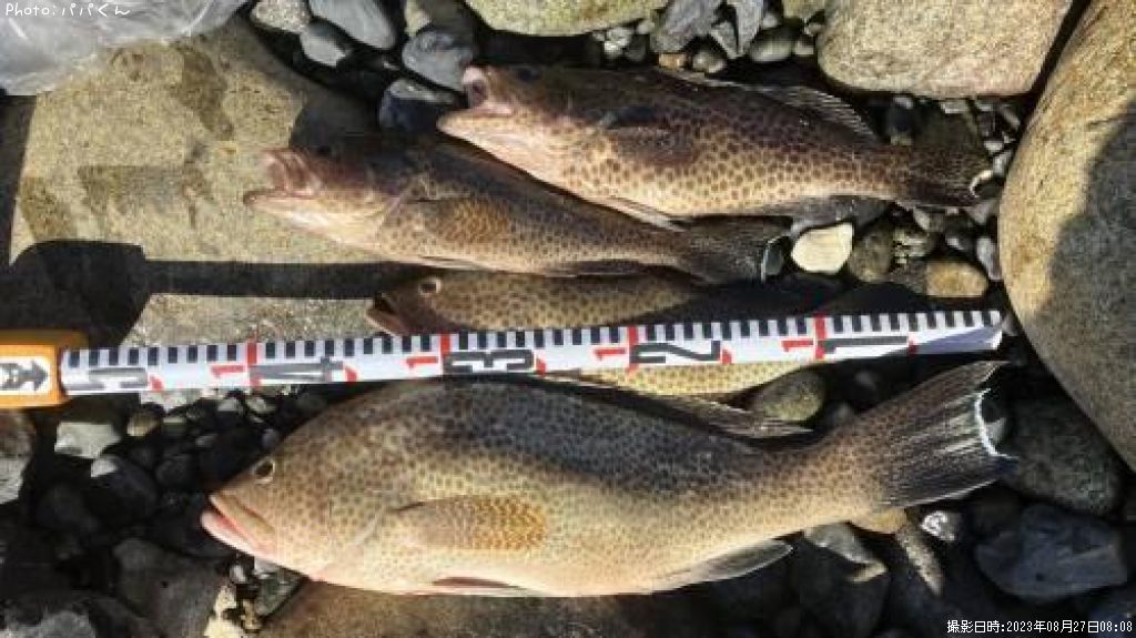 �������ϥ�