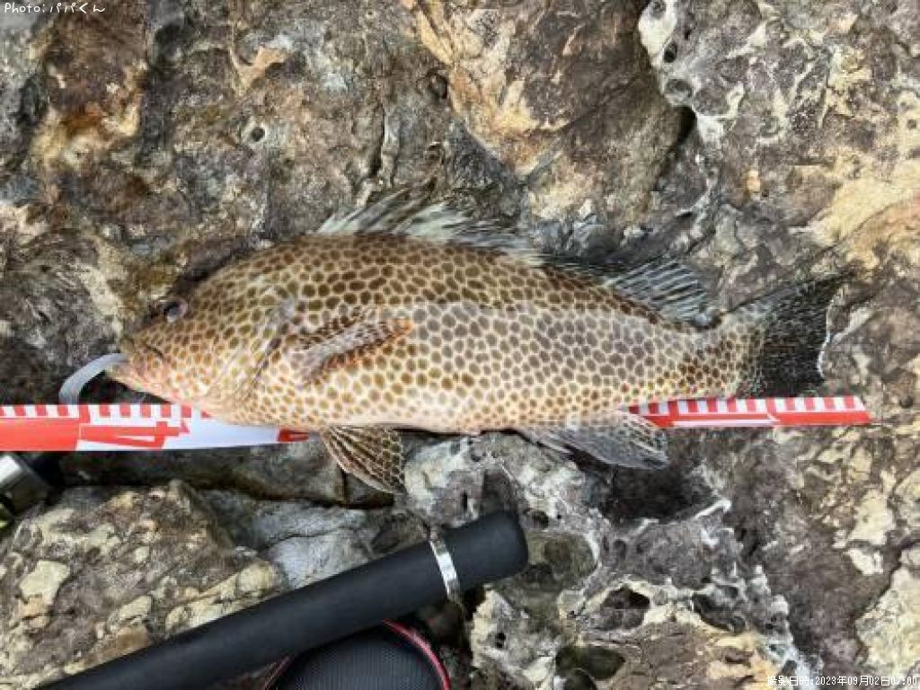 �������ϥ�