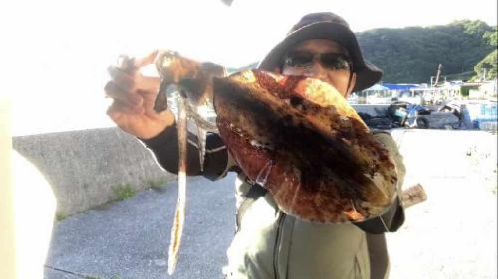 �����ꥤ��