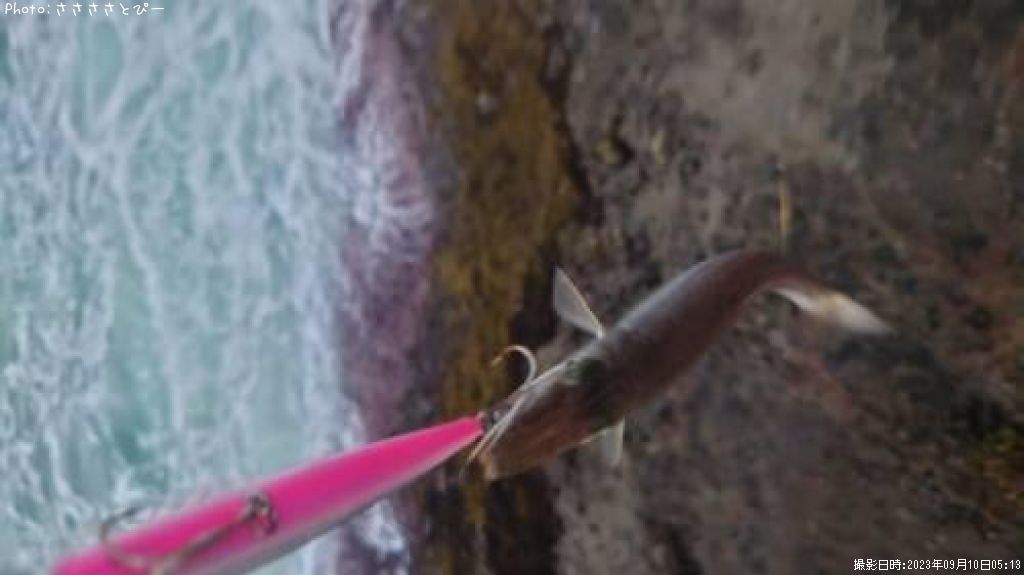 �參�������ޥ�