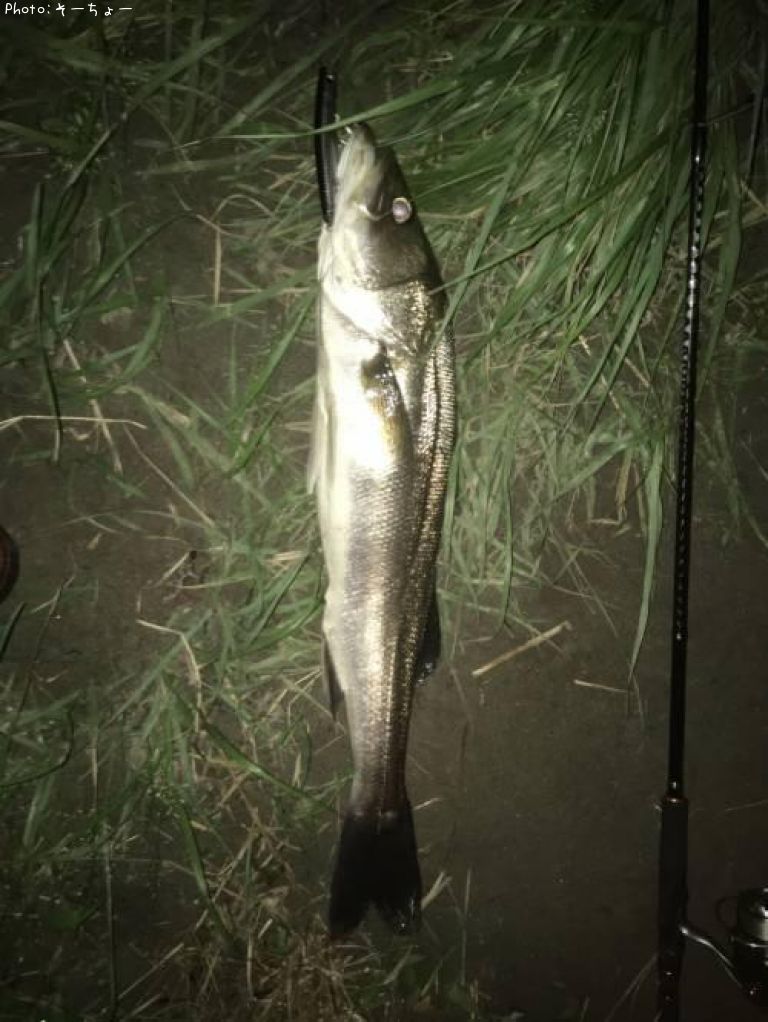 �����Х�