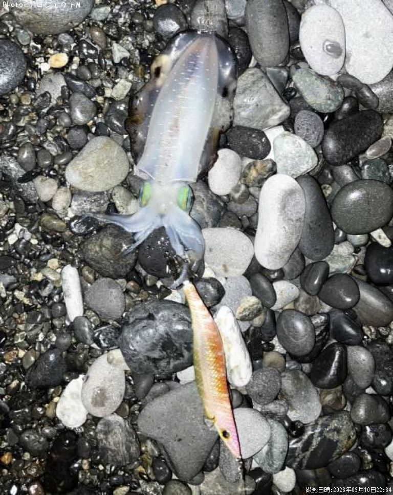 �����ꥤ��