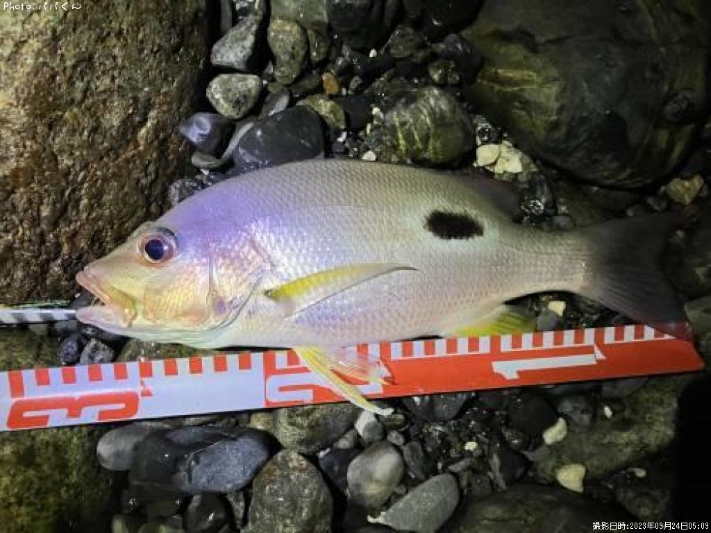 �����ۥ��ե�����