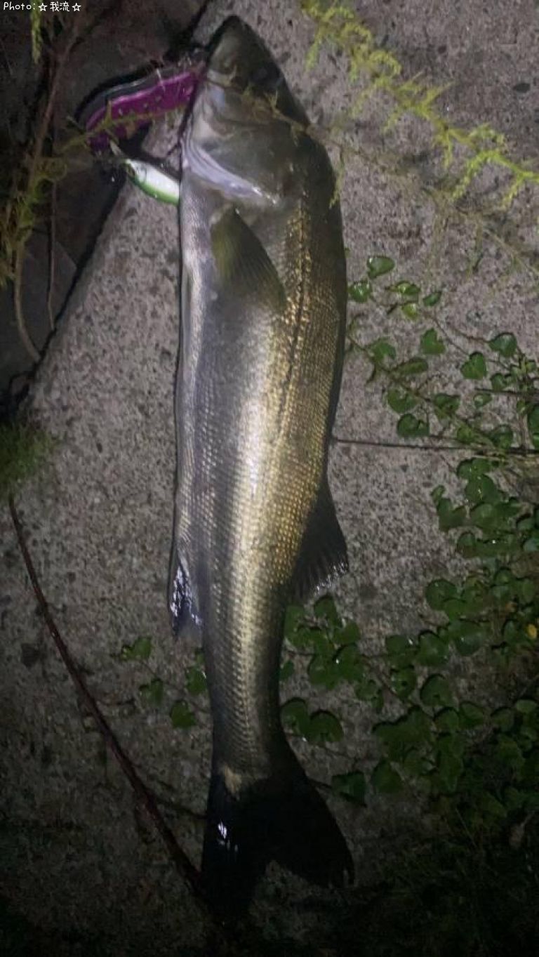 �����Х�