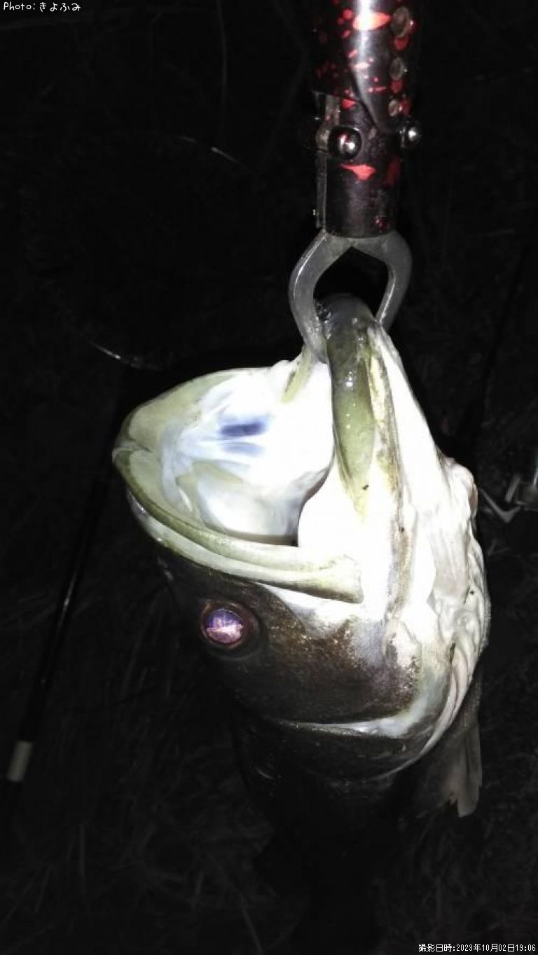 �����Х�