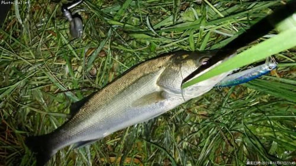 �����Х�