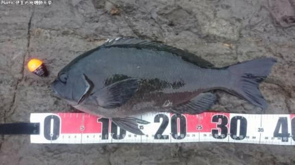 �����᥸��