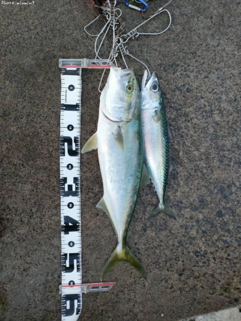 ���ʥ��ȥ���