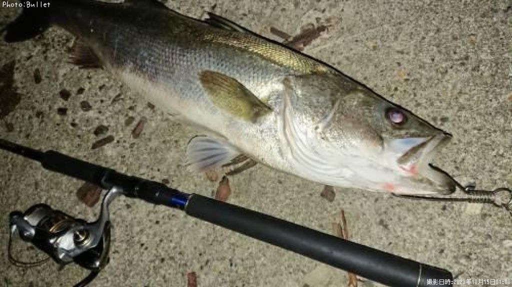 �����Х�