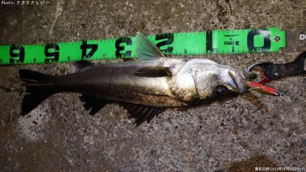 �����Х�