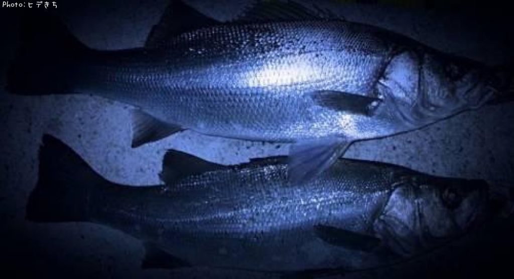 �ҥ饹����