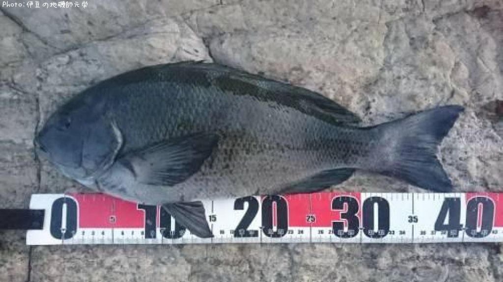 �����᥸��