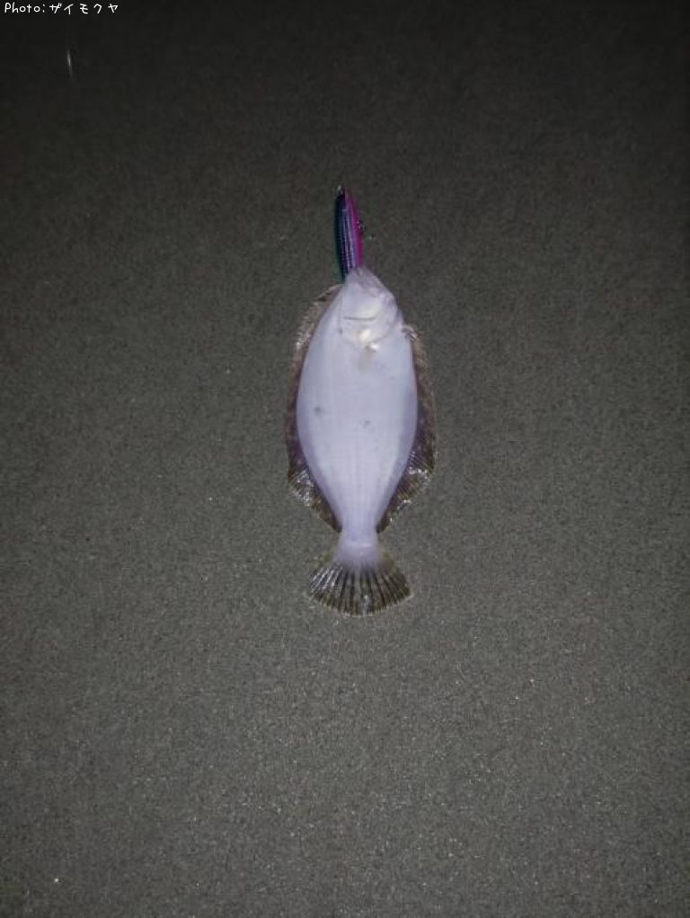 �ҥ��