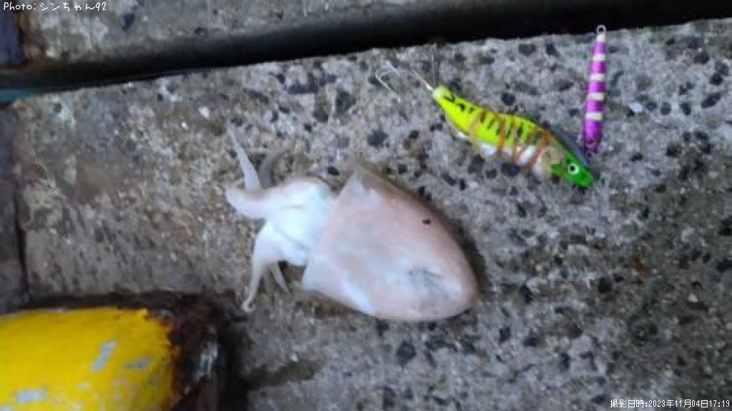 ��������