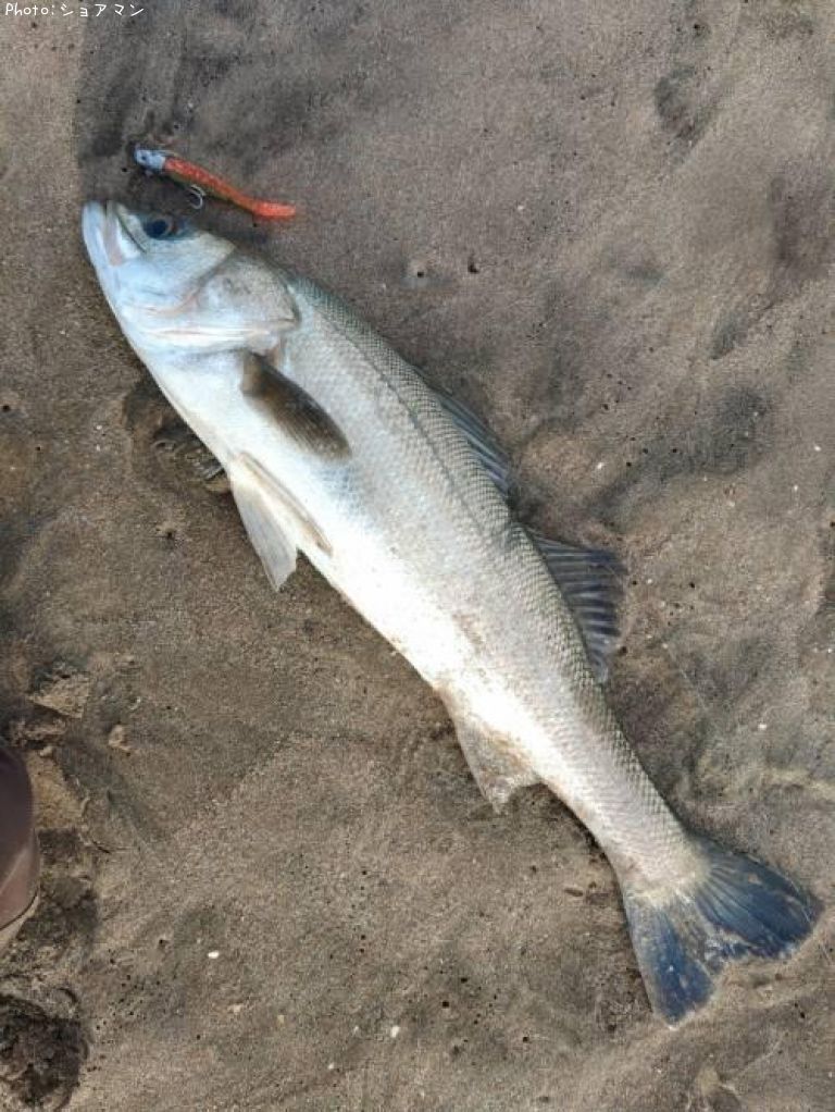 �����Х�