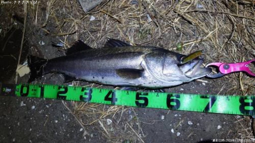 �����Х�