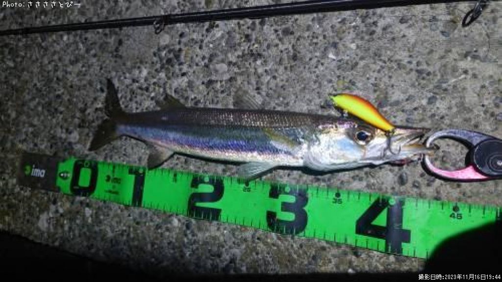 ���ޥ���������Х�