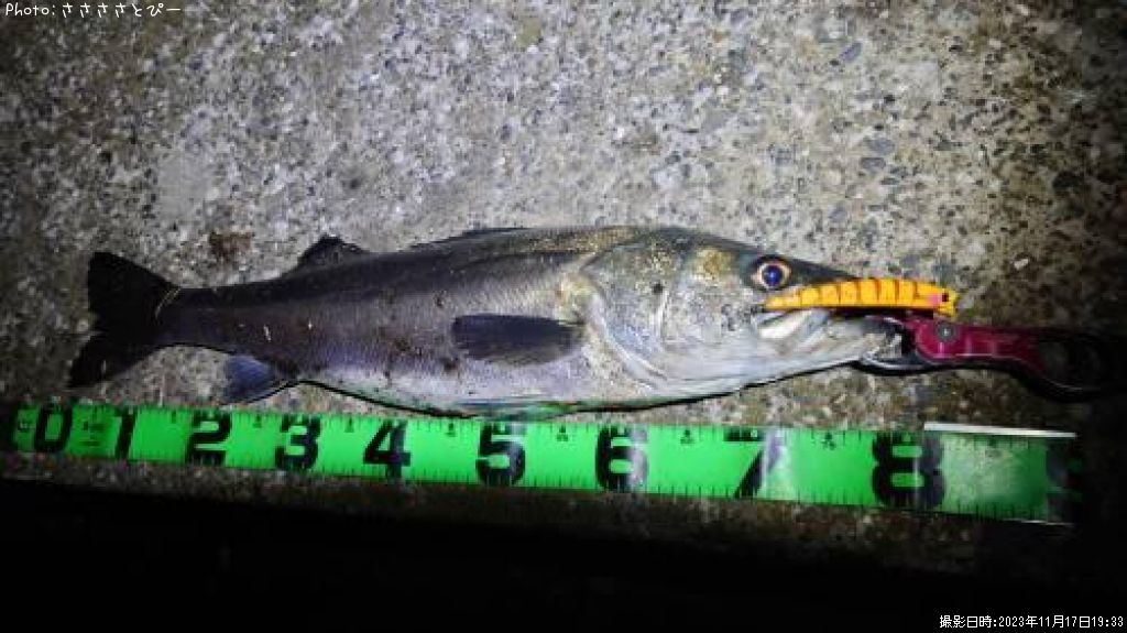 �����Х�