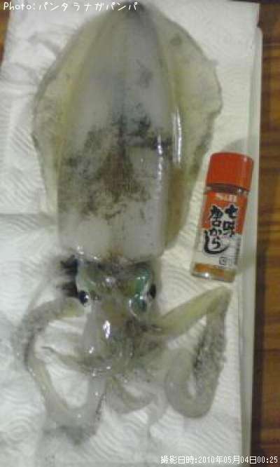 �����ꥤ��