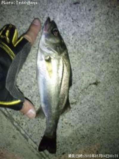 �����Х�