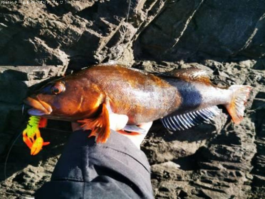 �����ʥ�