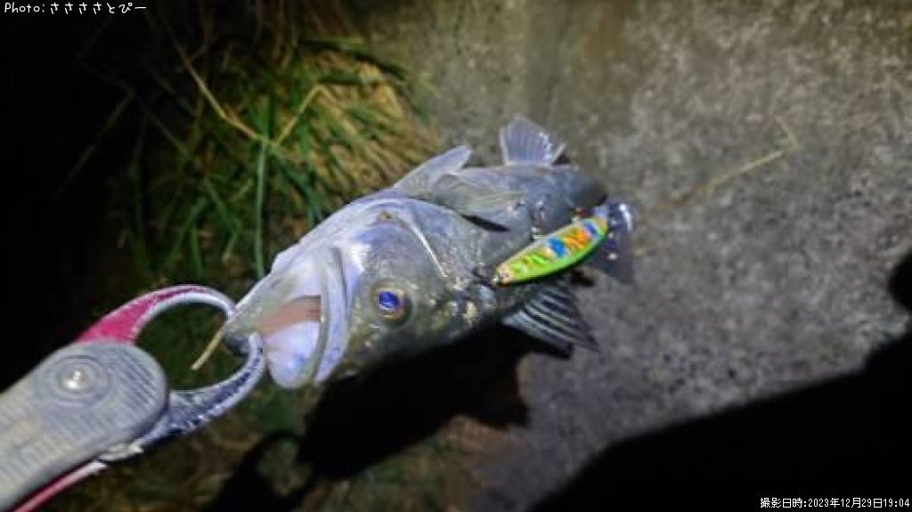 �����Х�