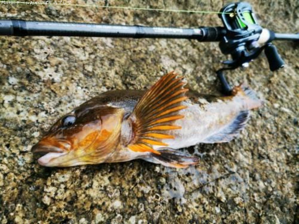 �����ʥ�