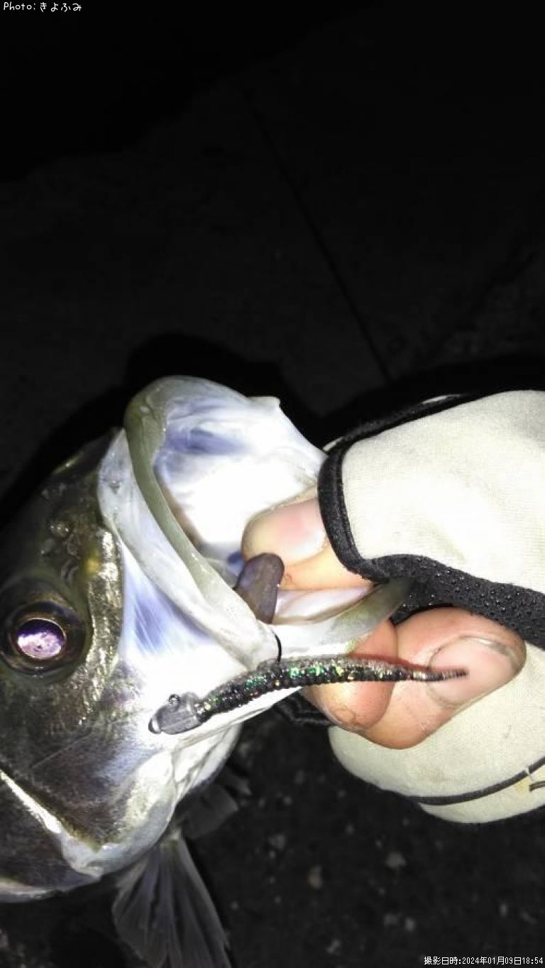 �����Х�