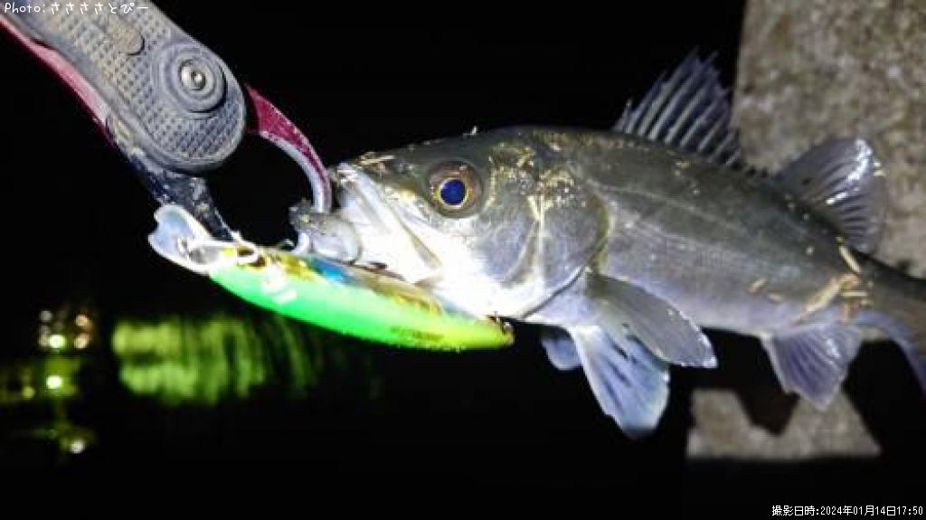 �����Х�